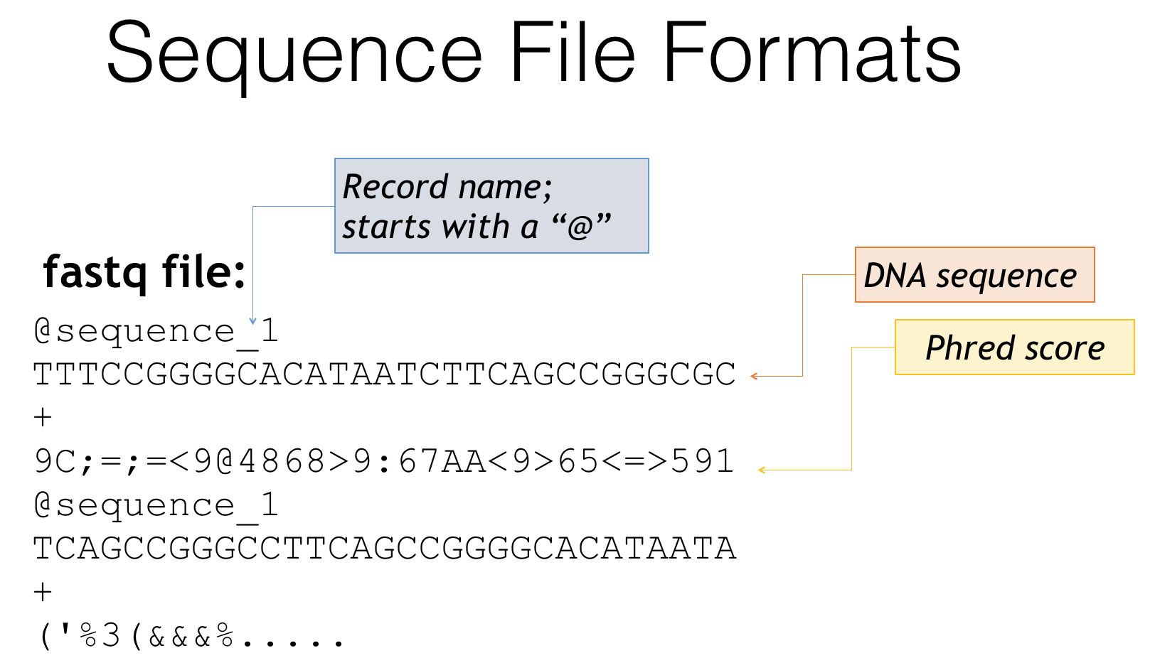 Формат фаста. Fastq Формат. Sequence Формат. Fastq example. Phred score.